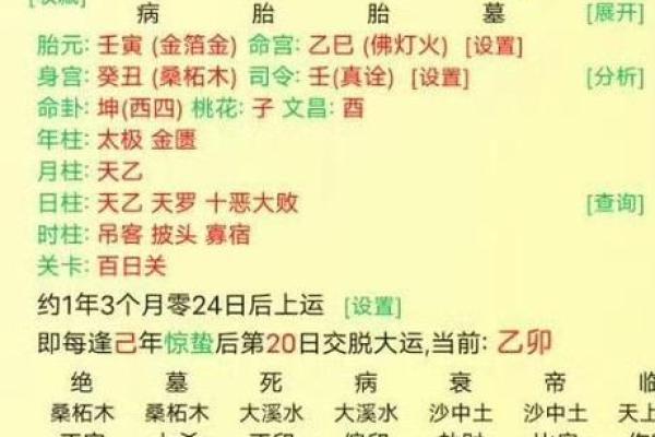解析八字命盘，掌握旺食旺，提升个人运势