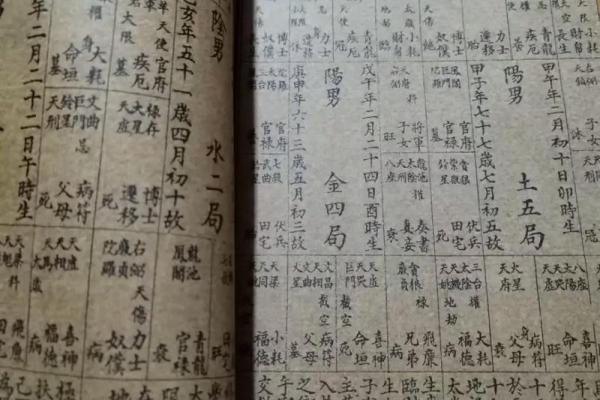 紫薇斗数安星码