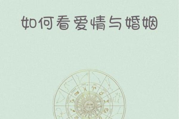 婚神星座在线查询器：解读婚姻伴侣的命运与缘分