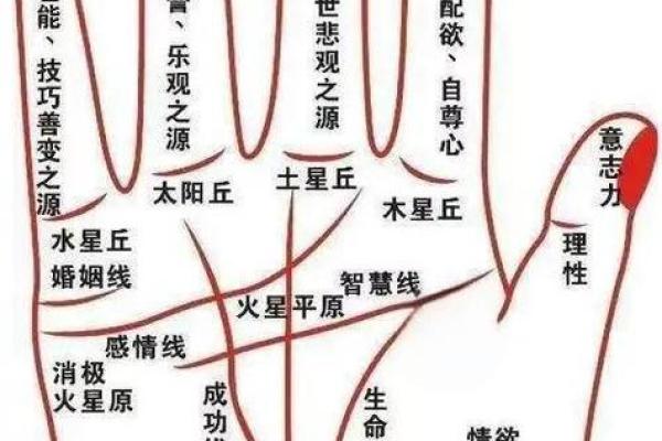 怎么用手算命