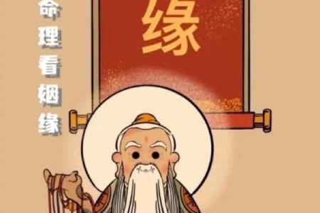 寻求算命高人指点什么