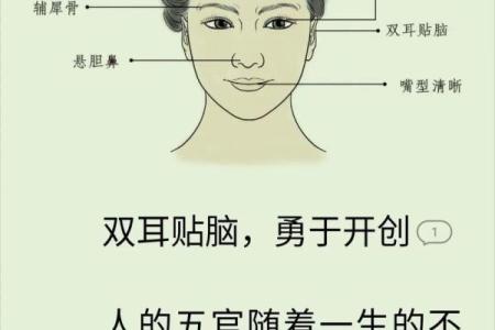耳朵算命耳朵看运势大全,耳朵命运图解
