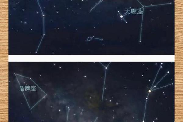牛郎织女分别指哪两个星座女