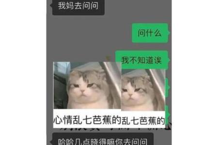 手机号码与自己八字不合？“大师”授课教你改一改……