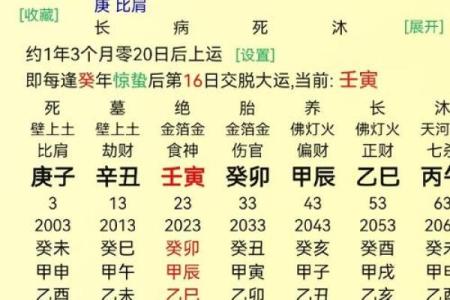 算命自学哪里更好学