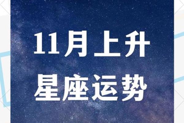 11星座运势大公开