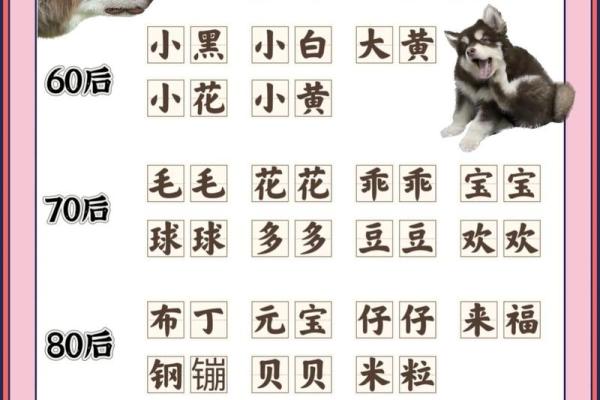 五月份出生的属狗男孩应该如何取名字姓名