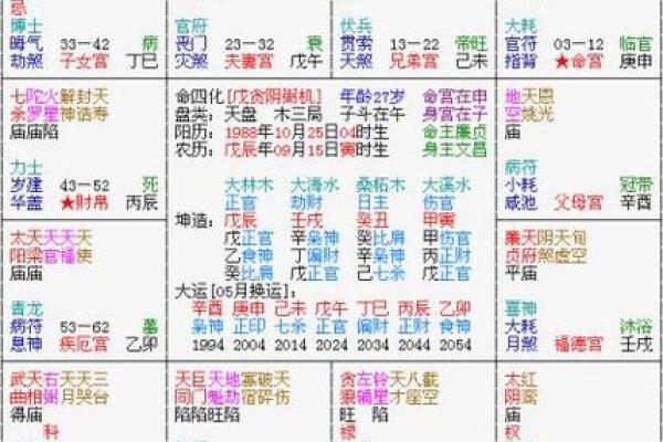 紫薇斗数中最重要的是身宫
