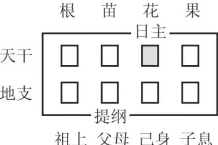 八字宫动
