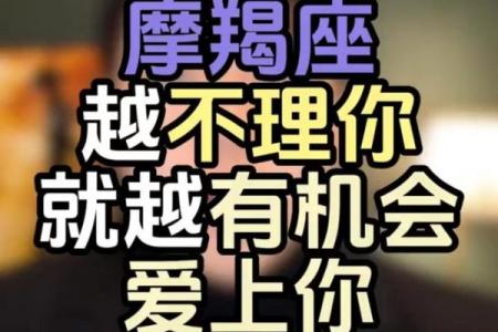 哪些星座男你越不理他他越想追你呢
