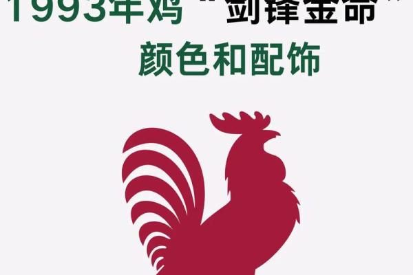 1月份出生的属鸡男孩起什么名字好姓名