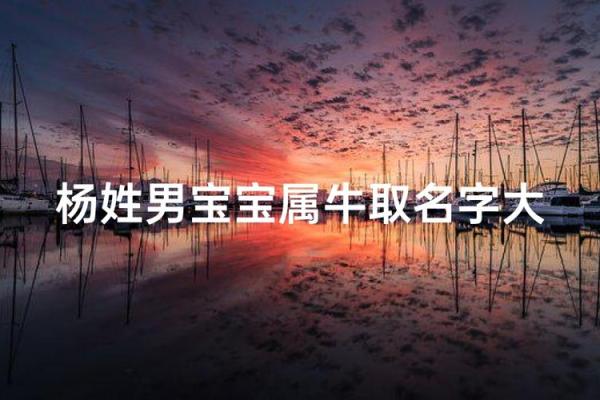 要如何给早上9点出生的属牛男孩取名字姓名