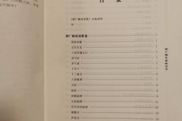 梅花易数算命入门书籍