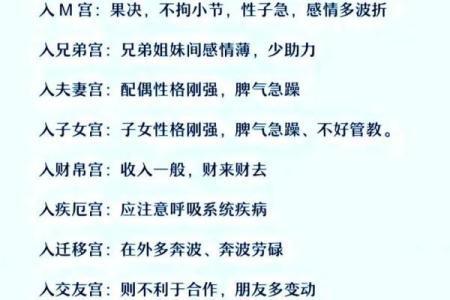双星紫薇斗数