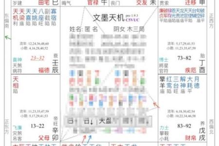 紫薇斗数申子辰