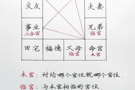 紫薇斗数网恋