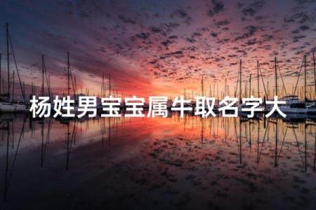 要如何给早上9点出生的属牛男孩取名字姓名