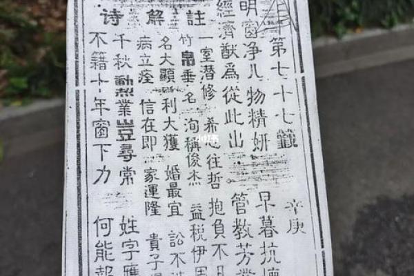 吕祖灵签野草闲花 吕祖灵签野草闲花