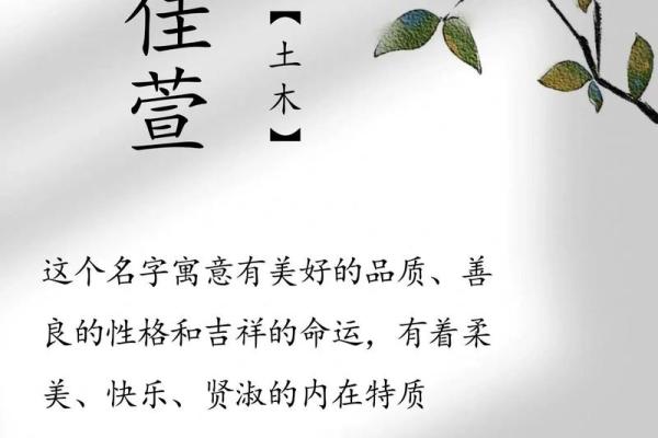 卢姓女孩名字大全-卢姓女孩起名字大全-卢姓名字大全姓名 卢姓女孩名字大全-卢姓女孩起名字大全-卢姓名字大全姓名