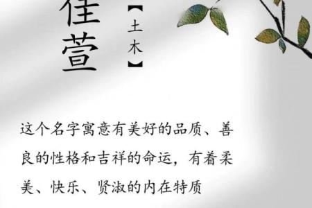 卢姓女孩名字大全-卢姓女孩起名字大全-卢姓名字大全姓名