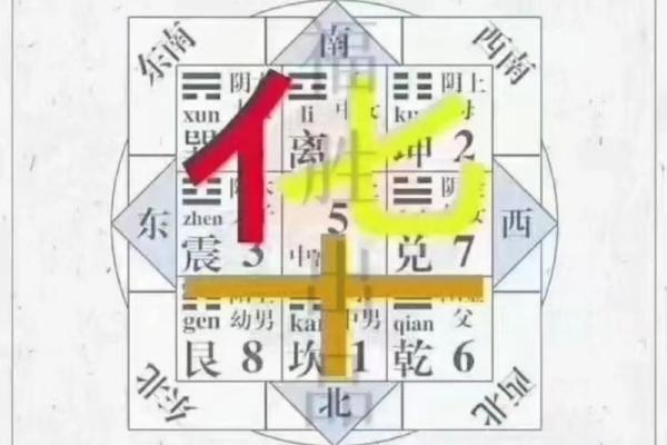 华姓女孩名字大全-华姓女孩起名字大全-华姓名字大全姓名 华姓女孩名字大全-华姓女孩起名字大全-华姓名字大全姓名
