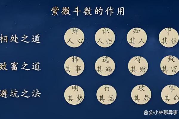 紫薇斗数与看盘 紫薇斗数与看盘