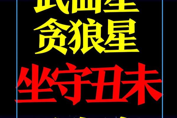 紫薇斗数财帛无主星 紫薇斗数财帛无主星