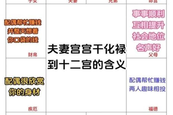 紫微斗数化忌在十二宫详解,十二宫中化忌的影响 紫微斗数化忌在十二宫详解,十二宫中化忌的影响