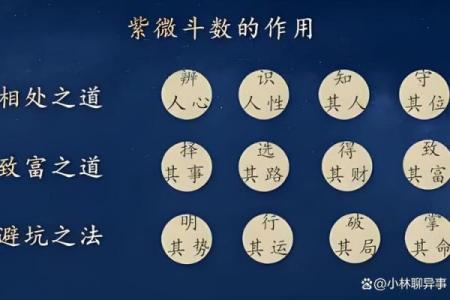 紫薇斗数与看盘