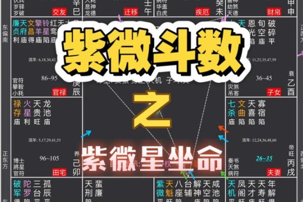 男生紫微斗数看那些 紫微斗数男命? 男生紫微斗数看那些 紫微斗数男命?