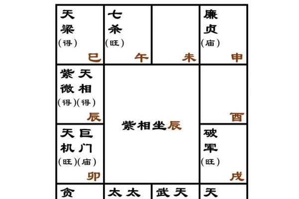 紫薇斗阿数 紫薇斗阿数