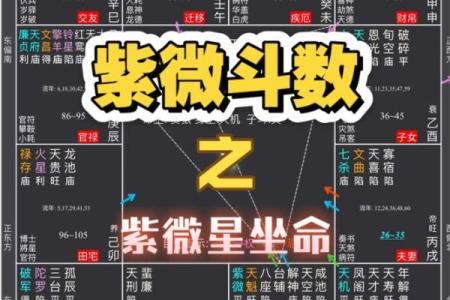 男生紫微斗数看那些 紫微斗数男命？