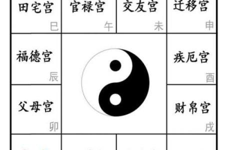 紫微斗数之生年干四化表象：夫妻宫四化入各宫表象