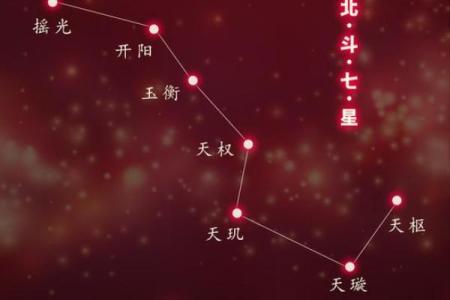 紫薇斗数正财星