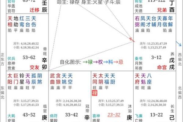 紫微斗数在线算命免费下载 紫微斗数在线排盘免费解析? 紫微斗数在线算命免费下载 紫微斗数在线排盘免费解析?