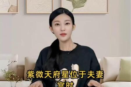 紫微斗数之夫妻宫与诸星，天府星在夫妻宫是什么意思？