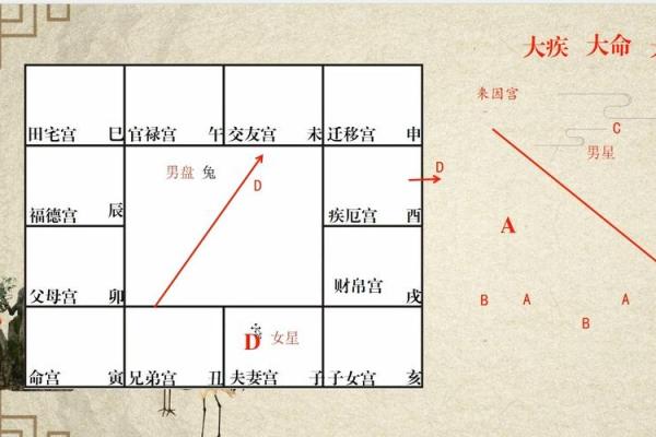 紫薇斗数怎么从看到配偶的学历 紫薇斗数怎么从看到配偶的学历