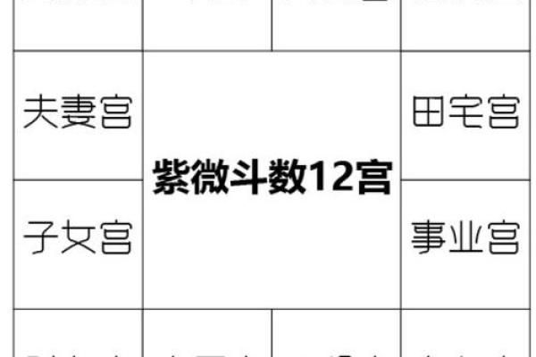 紫微斗数诸星落诸宫之:、其他星福德宫详解 紫微斗数诸星落诸宫之:、其他星福德宫详解