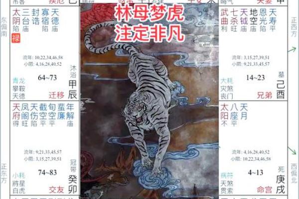 紫薇斗数夹辅 紫薇斗数夹辅