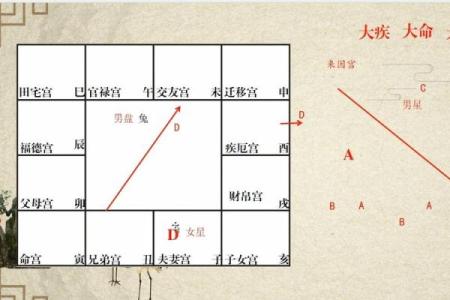 紫薇斗数怎么从看到配偶的学历