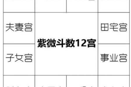 紫微斗数诸星落诸宫之：、其他星福德宫详解