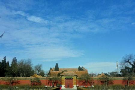 皇城根儿小伙算命