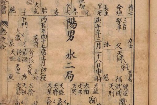 紫薇斗数进阶书 紫薇斗数进阶书