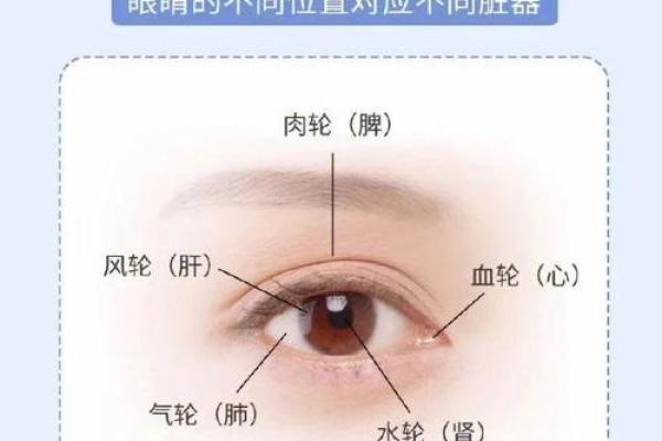 面相算命入门:五色 面相算命入门:五色