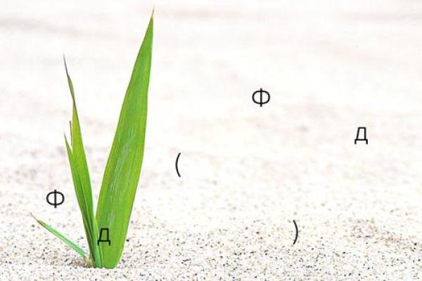 诸葛测字算命 诸葛测字算命