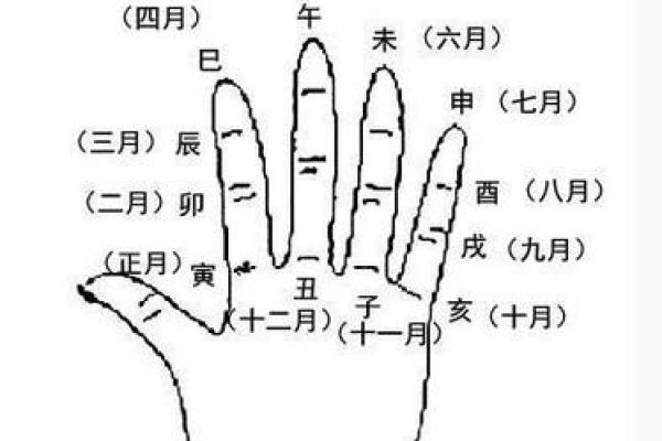 怎样算命卦 怎样算命卦