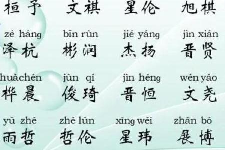 2019年4月11号辰时出生的男孩应该起什么样的名字姓名