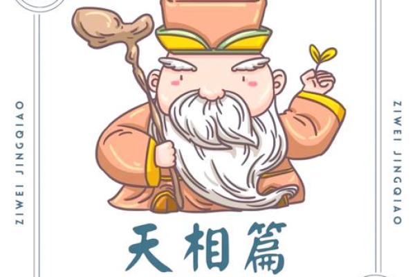 紫微斗数-天相星 紫微斗数-天相星