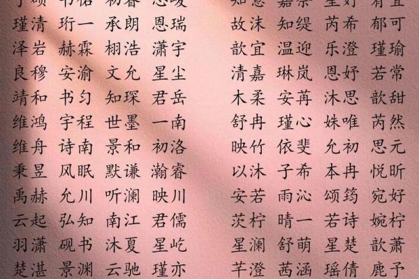 2019年6月1号子时出生的男孩要怎么起名字姓名