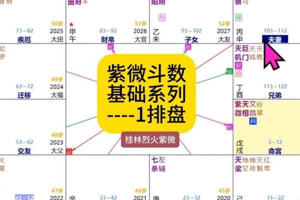 紫微斗数弱智 紫微斗数看智力? 紫微斗数弱智 紫微斗数看智力?
